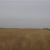 Woodward - Energy Field