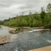 Cave Springs