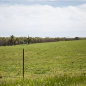 E 770 Rd Landscape 2