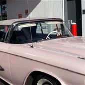 Pinky, the '59 Thunderbird