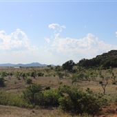 Haley Ranch