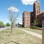 Historic Campus Corner - Norman