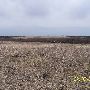 E0840 Rd. and N2520 Rd.