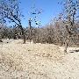 Mineral Wells Park