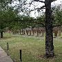 Oklahoma City National Memorial & Museum
