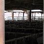 Oklahoma City Stockyards