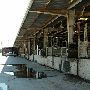 Oklahoma City Stockyards