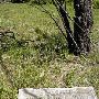 Wright's Cemetery