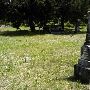 Wright's Cemetery