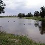 Tatanka Ranch