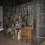 Jail Set