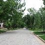 Mesta Park Historical Neighborhood