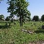 Clearview Cemetery