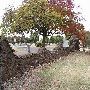 Gracelawn Cemetery