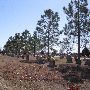 Gracelawn Cemetery