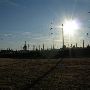 Conoco Phillips Refinery