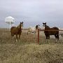Hughes Ranch