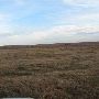 Hughes Ranch