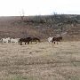 Hughes Ranch