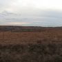 Hughes Ranch