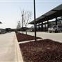 Classen Curve