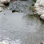 Boiling Springs State Park