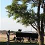 Sage and Saddle - Bed and Breakfast