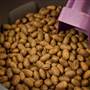 Benson Park Pecans