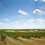Woods and Waters Winery