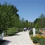 Myriad Botanical Gardens