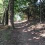 Boiling Springs State Park