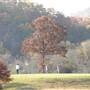 Cedar Creek Golf Course at Beavers Bend