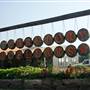 Territory Cellars