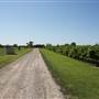 Silvertop Farm & Vineyards