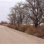 Nightmare in the Country - Kenton Ranch