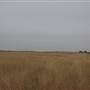 Woodward - Energy Field