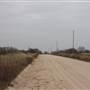 Dirt Road EW40 - Woodward
