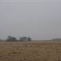 Various Woodward Landscapes