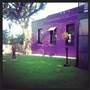 Istvan Gallery