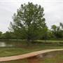 Dolese Youth Park