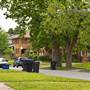 Mesta Park Historical Neighborhood