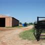 NFL Farms