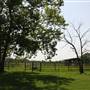 NFL Farms