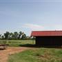 NFL Farms