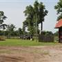 NFL Farms