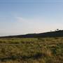 Hughes Ranch