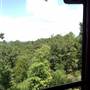 Lakeridge Cabin