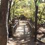 Martin Nature Park