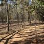 Martin Nature Park