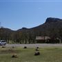 Camp Y'shua
